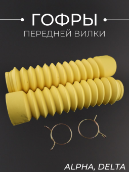 015269-2