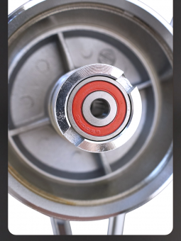 000313-5