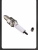 S-1549-11 S-1549-11