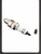 S-1546-14 S-1546-14